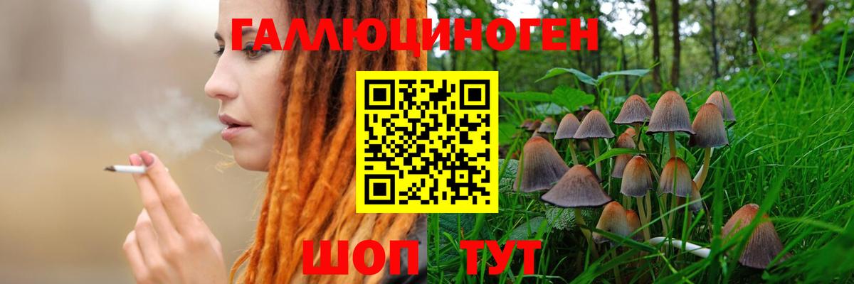 Галлюциногенные грибы Psilocybine cubensis  Вход с VPN  Псилоцибиновые грибы ЛСД  Кинель 